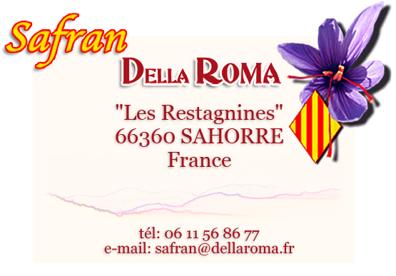 contact safran della roma