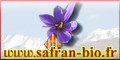 safran bio catalan della roma
